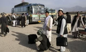 afghans-800×458