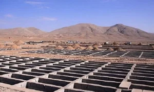 آرامستان+جدید+تهران