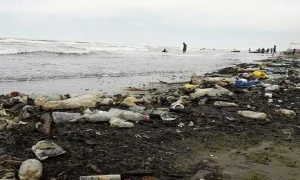 زباله در سواحل