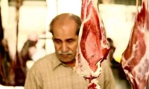 گوشت