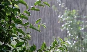 بارش+باران