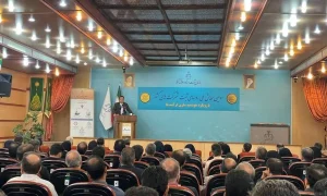 شرکت صوری