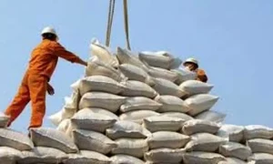ترخیص برنج