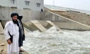 مهاجران افغان