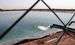 آبیاری+و+مزرعه