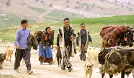 بحران عشایر