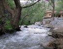 حریم