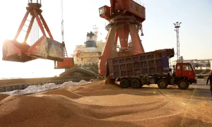 نهاده+های+دامی