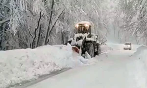 سرما