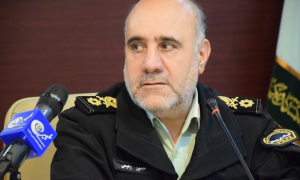 کشف نهاده های دامی