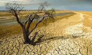 خشکسالی (2)