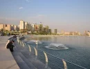 حشرات چیتگر