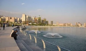 حشرات چیتگر
