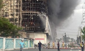 مجتمع ارغوان