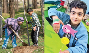 سواد محیط زیستی