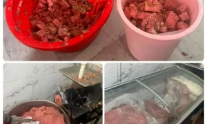 همبرگر
