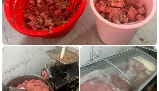 همبرگر
