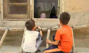 تحصیل1